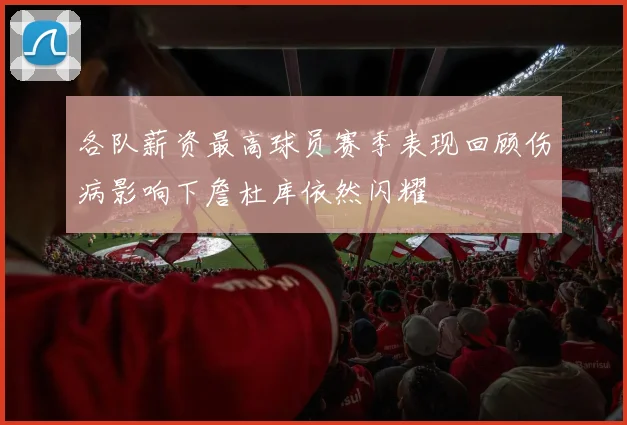 各队薪资最高球员赛季表现回顾伤病影响下詹杜库依然闪耀