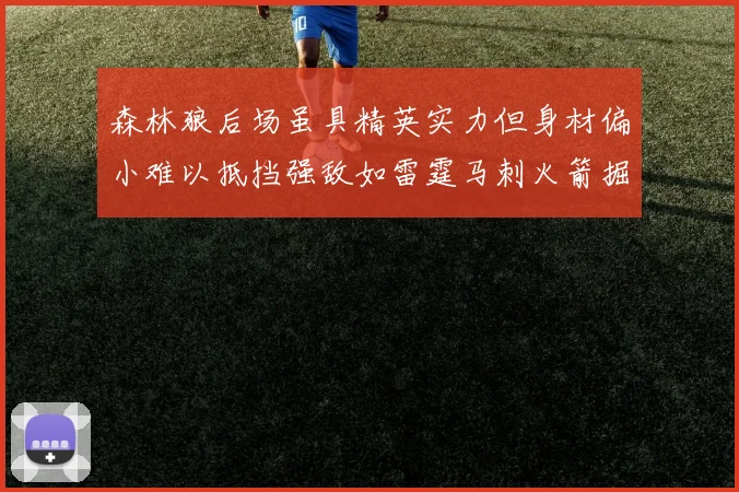 森林狼后场虽具精英实力但身材偏小难以抵挡强敌如雷霆马刺火箭掘金