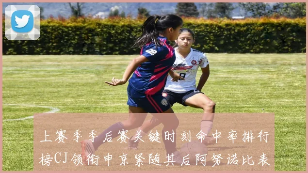 上赛季季后赛关键时刻命中率排行榜CJ领衔申京紧随其后阿努诺比表现不俗