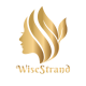 WiseStrand logo